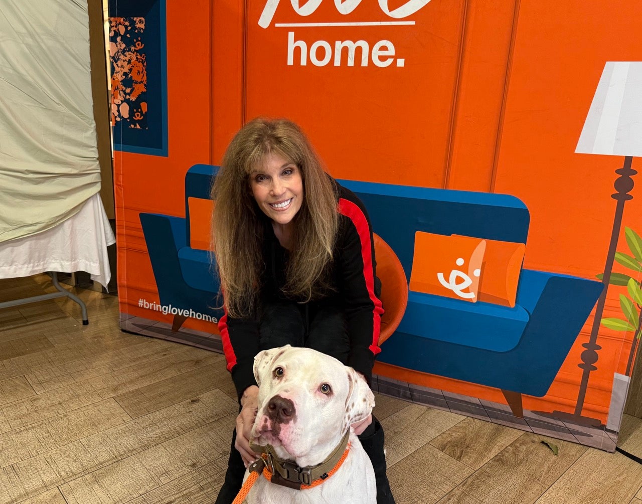 Best Friends Animal Society and Jill Rappaport Team Up to Help